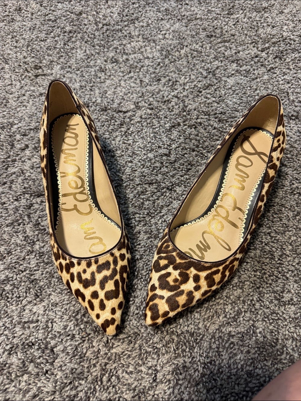 Sam Edelman Leopard-Print Pointed Toe Flats - Brown & Black